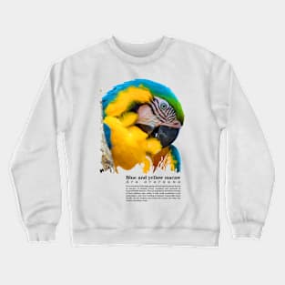 Blue and yellow macaw tropical bird black text Crewneck Sweatshirt